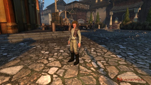 Neverwinter Trickster Rogue