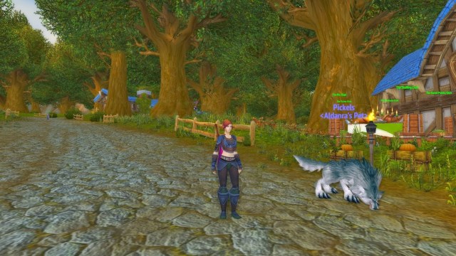 World of Warcraft Hunter